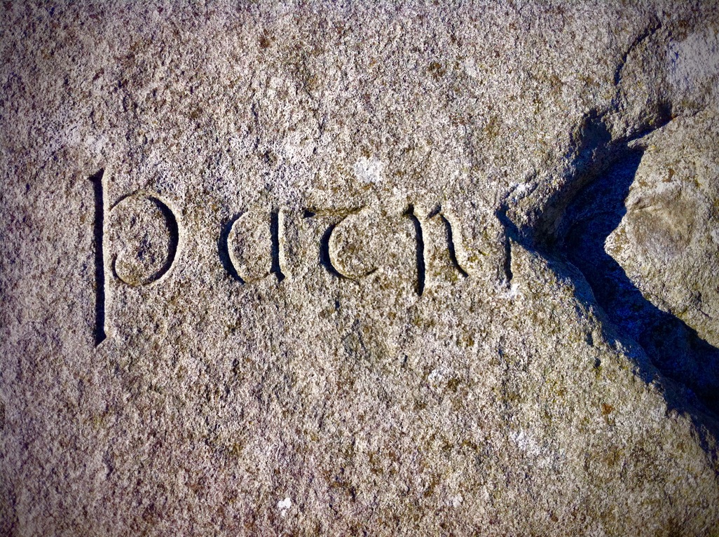 Patrick’s POTD